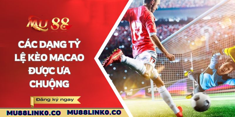 Tỷ Lệ Kèo Macao Mu88 - Tham Gia Cá Cược Cần Nắm Rõ 3 Các dạng tỷ lệ kèo Macao được ưa chuộng