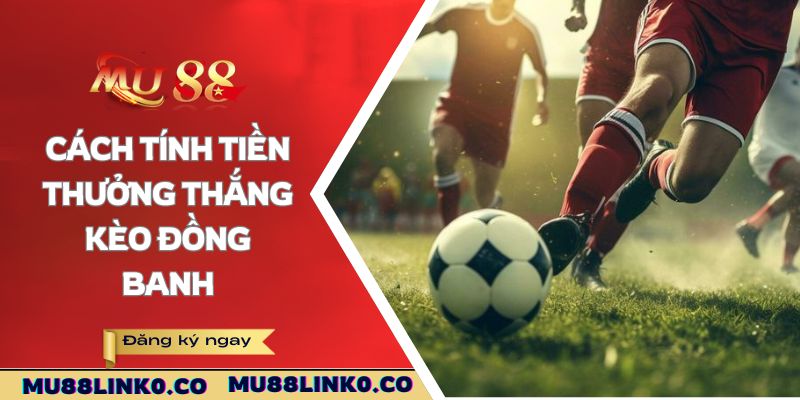 Kèo Đồng Banh Là Gì? Tips Chơi Chính Xác Tại Nhà Cái Mu88 3 Cách tính tiền thưởng thắng kèo đồng banh