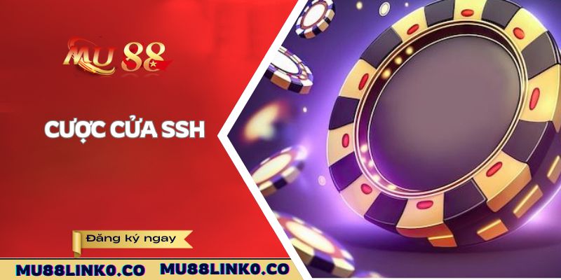 Bài Fantan Mu88 - Game Casino Mới Lạ Đến Từ Trung Quốc 4 Cược cửa SSH