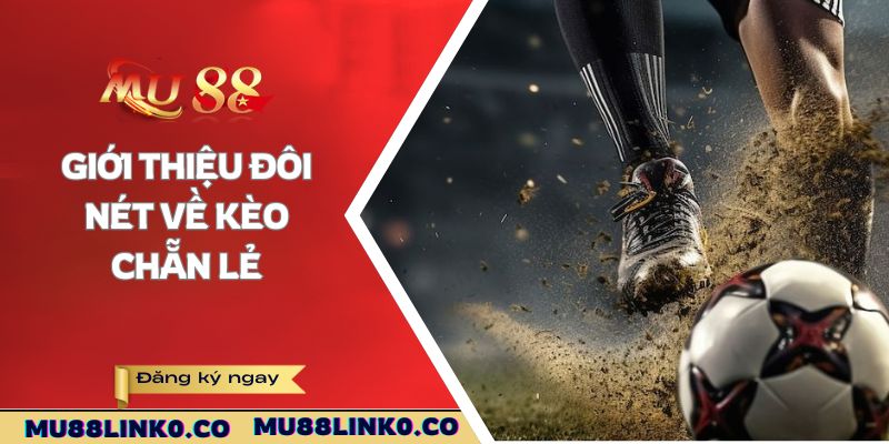 Giới thiệu đôi nét về kèo chẵn lẻ