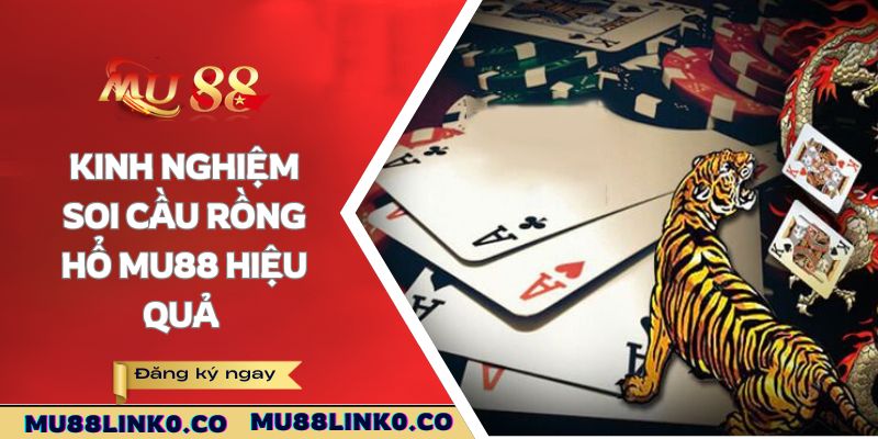Kinh nghiệm soi cầu Rồng Hổ Mu88 hiệu quả 