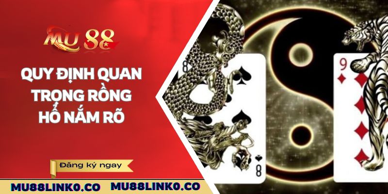 Quy định quan trọng Rồng Hổ nắm rõ