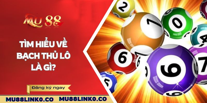 Tìm hiểu về bạch thủ lô là gì?