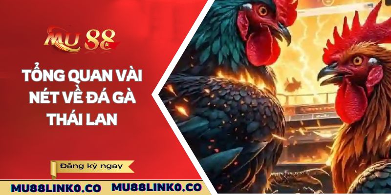 Tổng quan vài nét về đá gà Thái Lan