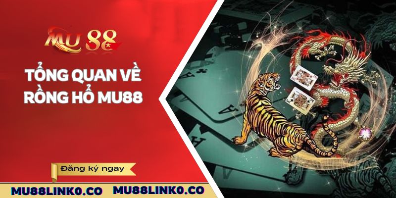 Tổng quan về rồng hổ MU88
