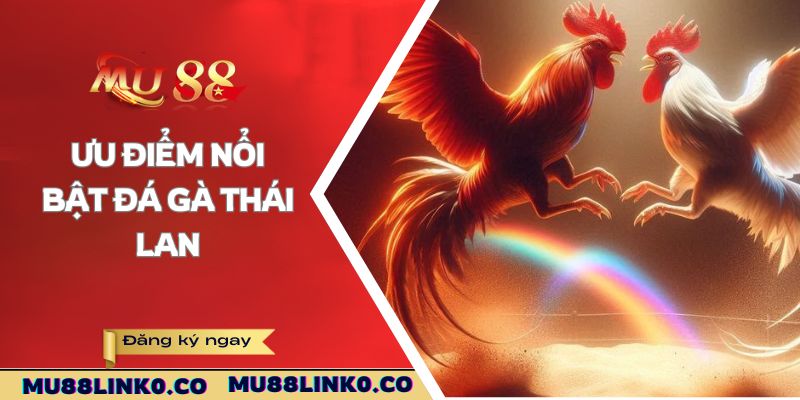 Đá Gà Thái Lan - Giải Trí Thu Hút Nhận Thưởng Liền Tay 2025 3 Ưu điểm nổi bật đá gà Thái Lan